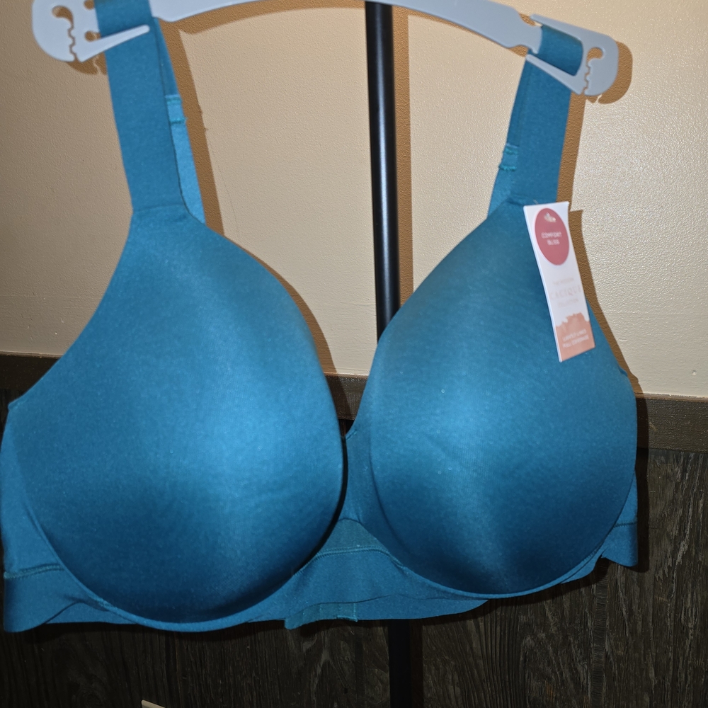 Lane Bryant Cacique Teal Full-Coverage Bra
